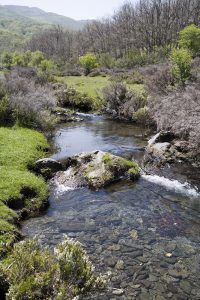 Sierra Norte de Guadalajara el aire más puro de España, Estrellas Michelin y patrimonio natural e histórico, ocio anti-rebrote