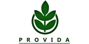 Sobre el aniversario de las dos leyes de aborto en España