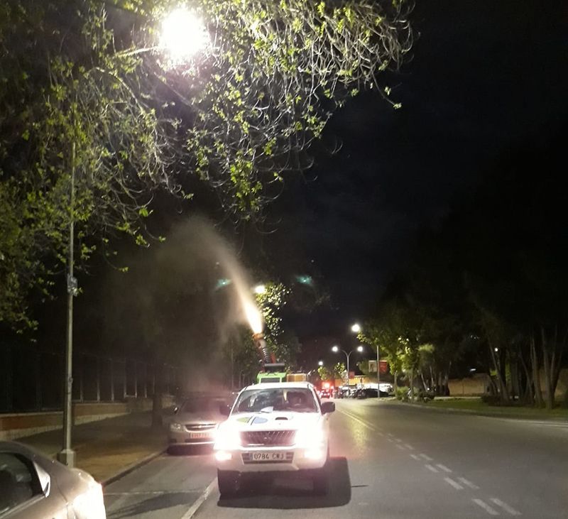 El Ayuntamiento de Guadalajara actuará contra la galeruca del olmo en distintas zonas de la ciudad