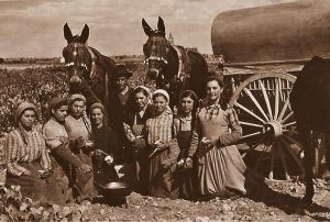 El Gobierno regional conmemora el Día de la Fotografía con una exposición virtual de una selección de instantáneas del Archivo de la Imagen de Castilla-La Mancha