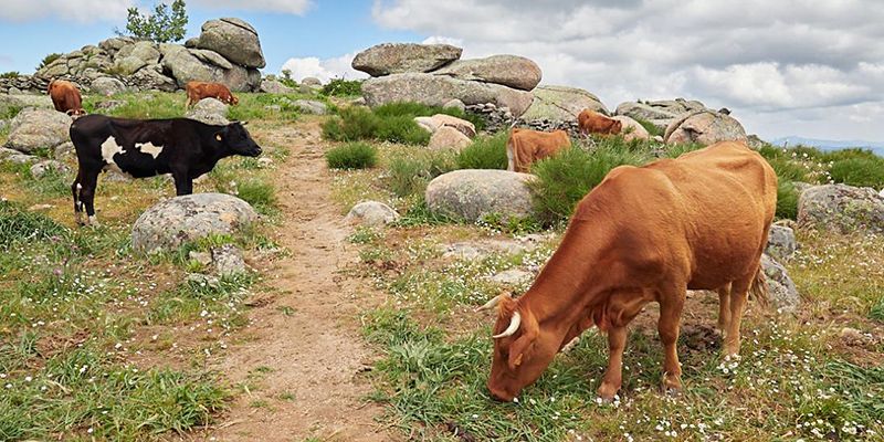 El ritmo de pagos a la agricultura ecológica no se ha visto frenado por la COVID