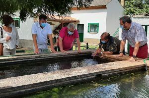 La astacifactoría de Rillo de Gallo distribuye cada año alrededor de 40.000 cangrejos de río