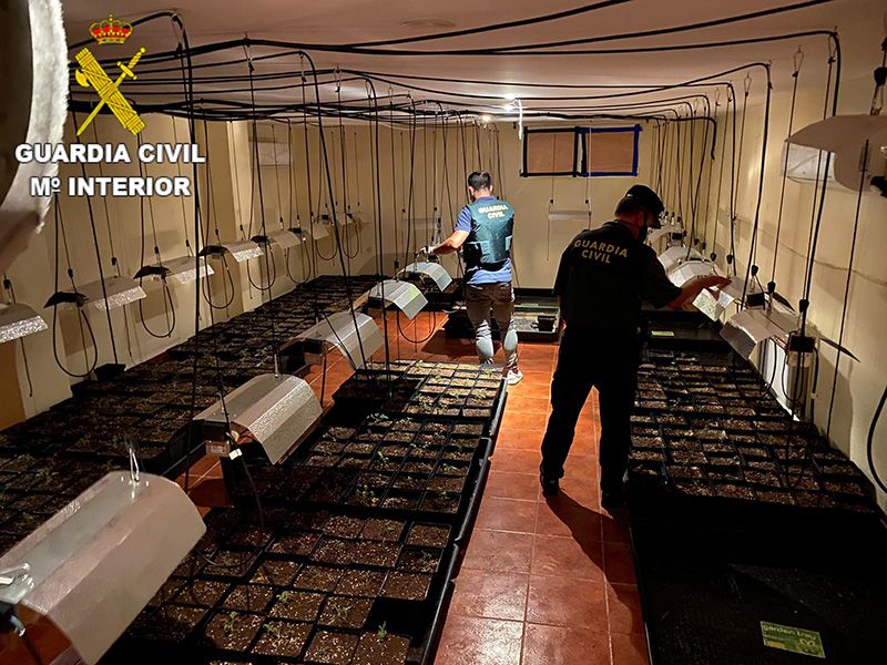 La Guardia Civil detiene a una persona por cultivo de marihuana en un chalet del Pinar de Jábaga