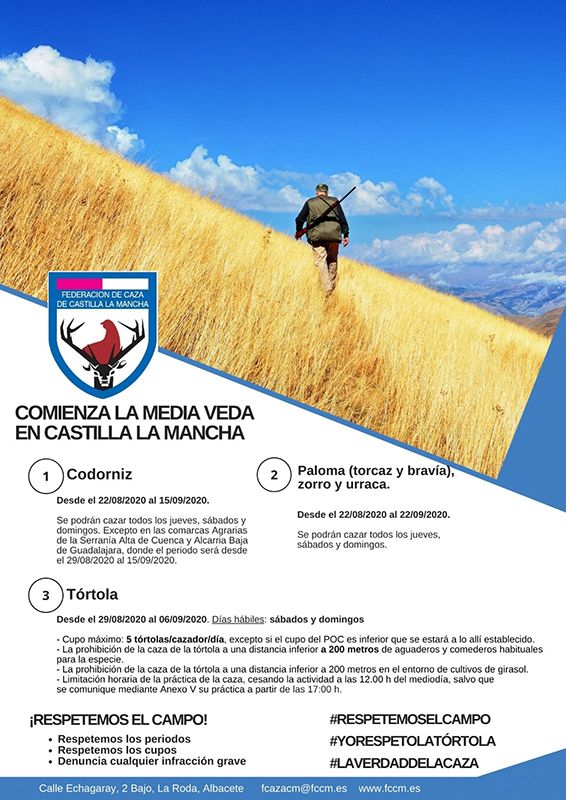 La media veda en CLM permitirá cazar, por primera vez, la paloma bravía