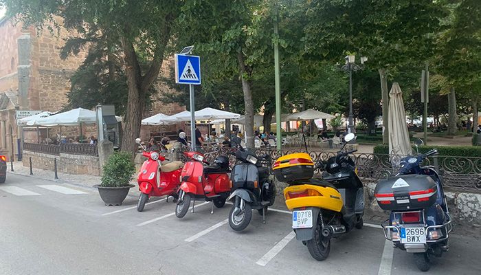 Nuevos alcorques y señalización luminosa de pasos de cebra en Sigüenza