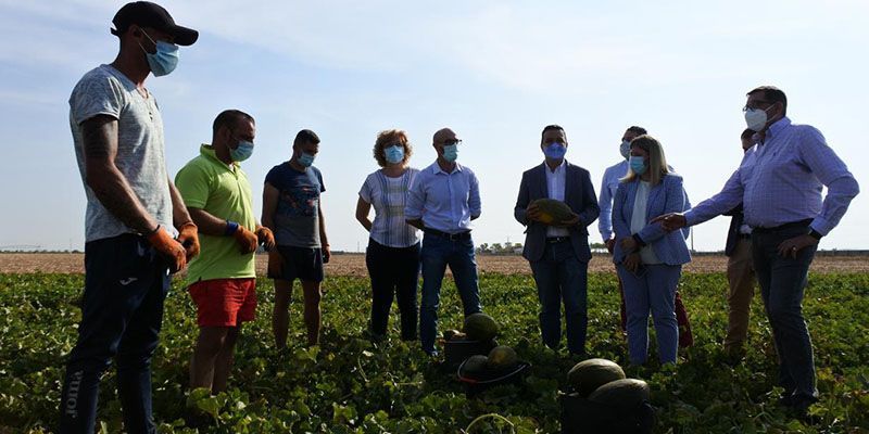 Castilla-La Mancha, líder nacional en melón y sandía, gracias al uso eficiente del agua que hace rentable las explotaciones y genera empleo