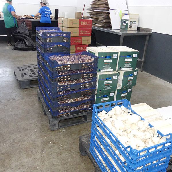 La economía conquense se sostiene en parte con las exportaciones que crecen un 10%