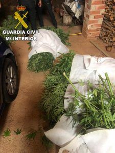 La Guardia Civil de Cuenca detiene a una persona por un delito de cultivo y elaboración de drogas tóxicas