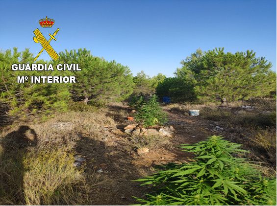 La Guardia Civil detiene a tres personas en San Lorenzo de la Parrilla en distintos operativos de prevención contra el tráfico de drogas
