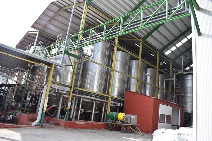 El Gobierno regional aplaude el desarrollo de la campaña de vendimia y destaca el abono de 6.6 millones de euros en ayudas a la reestructuración del viñedo en Cuenca 1 El Gobierno regional aplaude el desarrollo de la campaña de vendimia y destaca el abono de 6.6 millones de euros en ayudas a la reestructuración del viñedo en Cuenca