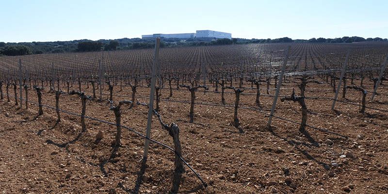 El Gobierno regional ha abonado más de 72 millones de euros del anticipo de la PAC a más de 15.000 beneficiarios de la provincia de Cuenca