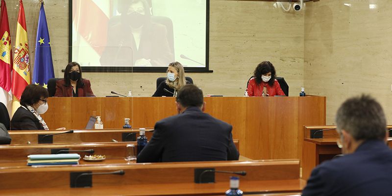 La Comisión de Estudio sobre Despoblación inicia ya la redacción de las conclusiones, tras escuchar a 46 ponentes