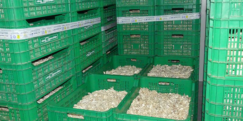 La patronal conquense califica las exportaciones como el puntal económico que mejor responde ante la Covid 19