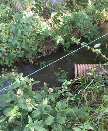 Vertidos ilegales del río Sorbe