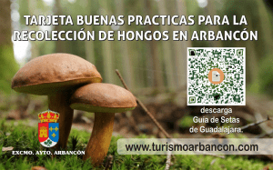 Arbancón pone en marcha la Tarjeta buenas prácticas para la recolección de hongos