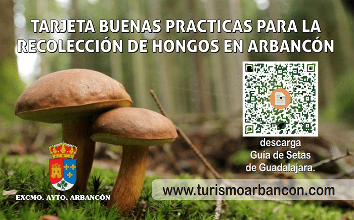Arbancón pone en marcha la Tarjeta buenas prácticas para la recolección de hongos