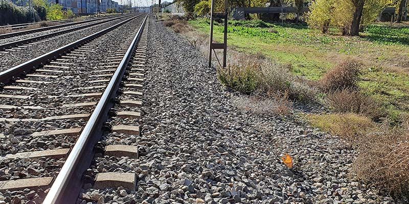 El PP de Azuqueca denuncia los problemas de inseguridad y suciedad en el barrio de El Vallejo y pide soluciones