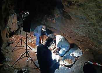 Finaliza la campaña de excavaciones en la Cueva de Los Casares