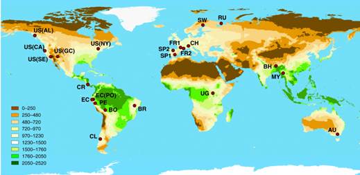 La capacidad de la biodiversidad forestal para mitigar las emisiones de CO2 podría perderse en condiciones climáticas más adversas