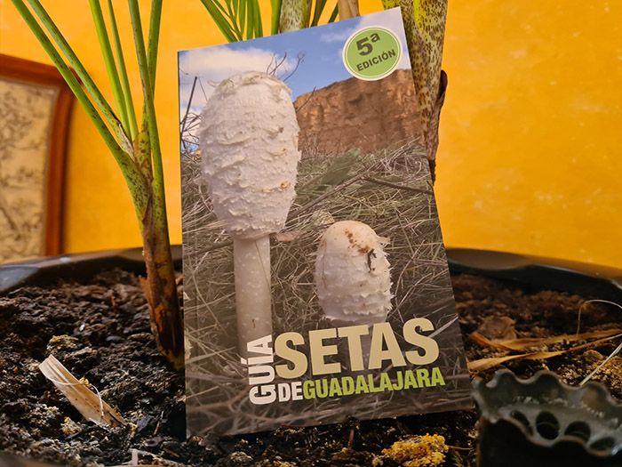 La Diputación de Guadalajara edita una nueva Guía de Setas de la provincia ampliada y mejorada