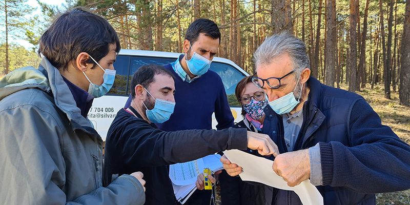 La Diputación de Guadalajara y la Mancomunidad Alto Tajo aprovechan de forma sostenible el monte para crear trabajo y fijar población