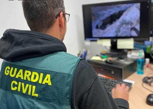 La Guardia Civil detiene a una persona por cometer 12 robos en Pioz