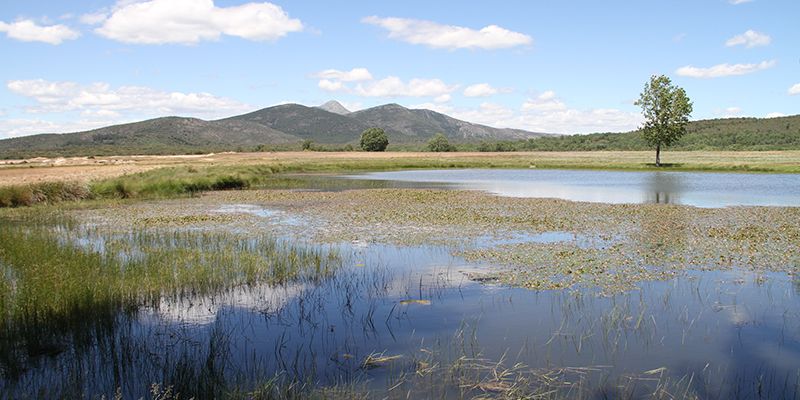Nuevas ayudas para la creación, mejora o ampliación de infraestructuras públicas en zonas rurales