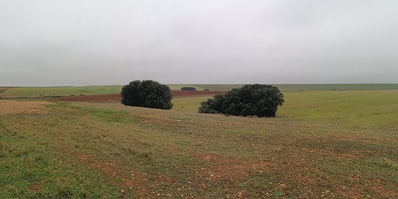 ZEPA Villanueva de la Torre