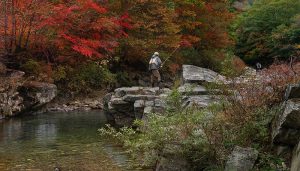 Abierto el trámite de información pública del borrador de la Orden que regula la pesca nocturna en Castilla-La Mancha