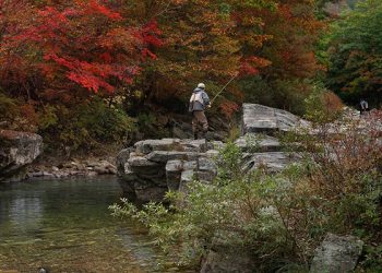 Publicada la nueva Orden de vedas de pesca para 2022