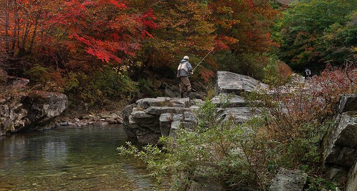 Abierto el trámite de información pública del borrador de la Orden que regula la pesca nocturna en Castilla-La Mancha