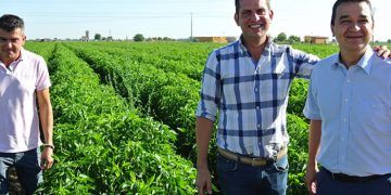 Castilla-La Mancha ha abonado ya cerca de 113 millones de euros para garantizar el relevo generacional en el campo y su modernización