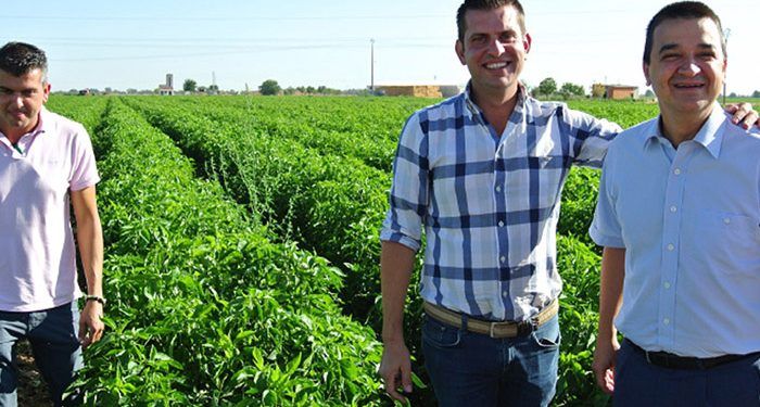 Castilla-La Mancha ha abonado ya cerca de 113 millones de euros para garantizar el relevo generacional en el campo y su modernización