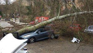 Cuenca y Guadalajara podrán beneficiarse de las ayudas para reparar los daños de los temporales de agosto y septiembre de 2019