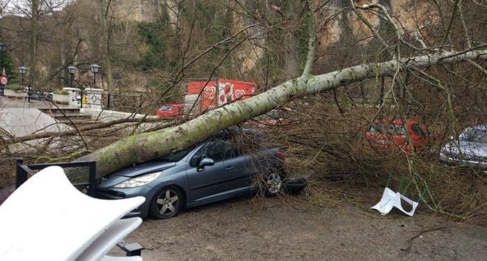 Cuenca y Guadalajara podrán beneficiarse de las ayudas para reparar los daños de los temporales de agosto y septiembre de 2019