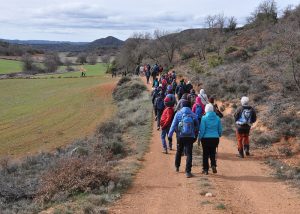 Ecologistas en Acción de Guadalajara alerta del peligro que corren los caminos públicos y pide la realización de inventario de bienes de titularidad pública