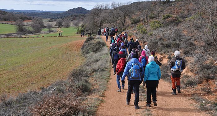 Ecologistas en Acción de Guadalajara alerta del peligro que corren los caminos públicos y pide la realización de inventario de bienes de titularidad pública 1 Ecologistas en Acción de Guadalajara alerta del peligro que corren los caminos públicos y pide la realización de inventario de bienes de titularidad pública