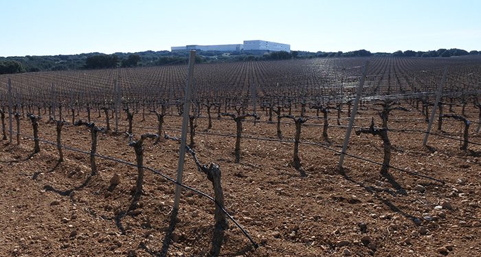 El Gobierno regional abona dos millones de euros en ayudas a la incorporación de jóvenes agricultores en la provincia de Cuenca