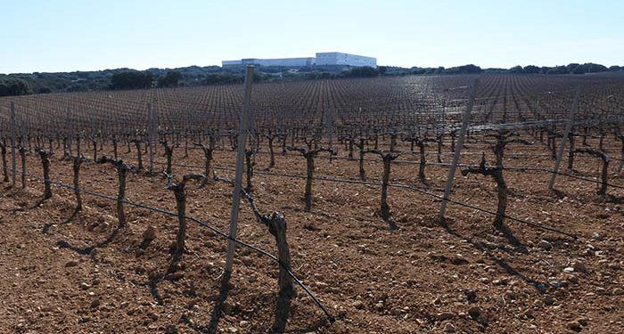 El Gobierno regional abona más de 33 millones de euros en ayudas de la PAC en la provincia de Cuenca 1 El Gobierno regional abona más de 33 millones de euros en ayudas de la PAC en la provincia de Cuenca