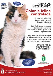 El programa CES de control de colonias felinas en Cabanillas cierra su primer año con más de 200 esterilizaciones