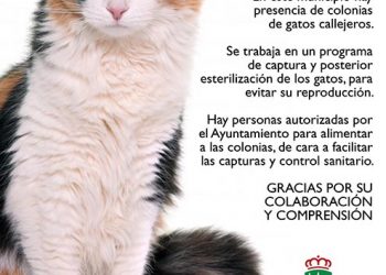 El programa CES de control de colonias felinas en Cabanillas cierra su primer año con más de 200 esterilizaciones