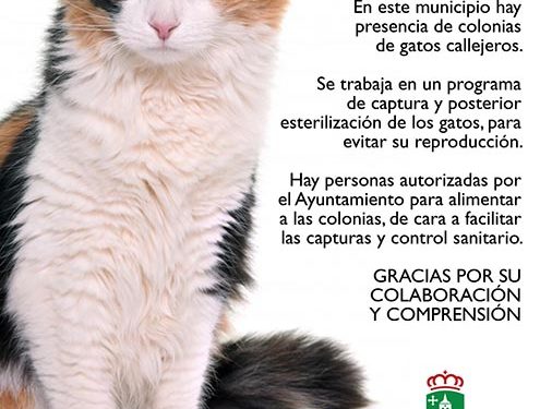 El programa CES de control de colonias felinas en Cabanillas cierra su primer año con más de 200 esterilizaciones