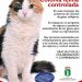 El programa CES de control de colonias felinas en Cabanillas cierra su primer año con más de 200 esterilizaciones 3 El programa CES de control de colonias felinas en Cabanillas cierra su primer año con más de 200 esterilizaciones