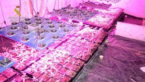 La Guardia Civil desarticula un grupo criminal dedicado al tráfico de drogas en Valera de Abajo y Villaverde y Pasaconsol