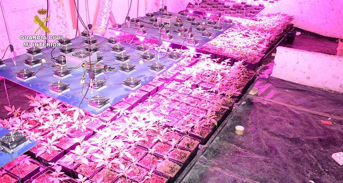 La Guardia Civil desarticula un grupo criminal dedicado al tráfico de drogas en Valera de Abajo y Villaverde y Pasaconsol 1 La Guardia Civil desarticula un grupo criminal dedicado al tráfico de drogas en Valera de Abajo y Villaverde y Pasaconsol