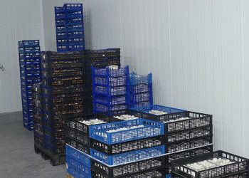 La patronal conquense sigue reseñando el papel de las exportaciones como salvador del año económico