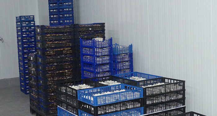 La patronal conquense sigue reseñando el papel de las exportaciones como salvador del año económico