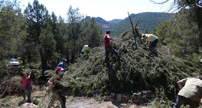 Más de 50 personas participan en la restauración de un chozón sabinero en el Alto Tajo 1 Más de 50 personas participan en la restauración de un chozón sabinero en el Alto Tajo