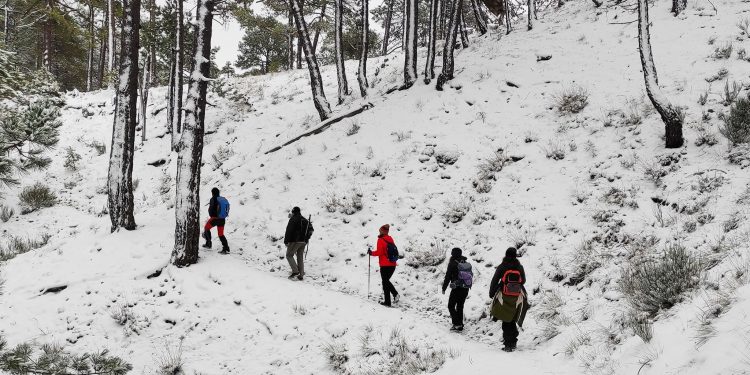 pn calares del mundo y de la sima