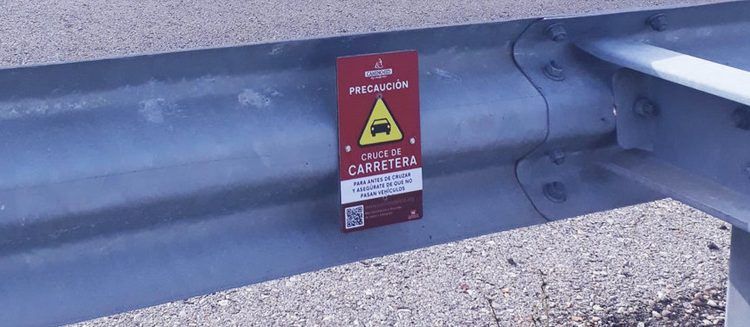 Se retoman los trabajos de revisión de la señalización senderista y BTT del Camino del Cid en la provincia de Guadalajara